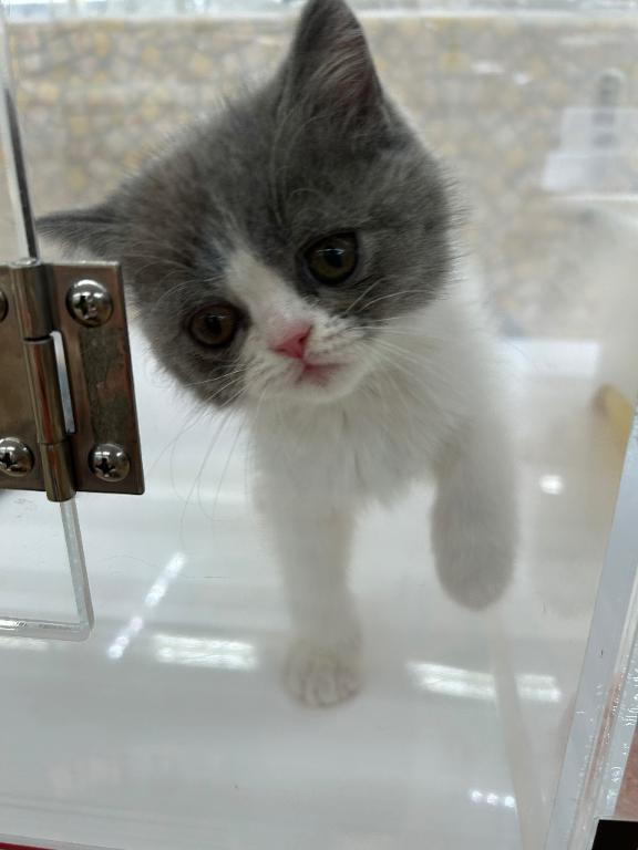 かわいい！｜写メ日記｜みゆき｜鶯谷 人妻デリヘル 熟女デリヘル倶楽部