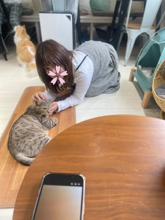 猫｜写メ日記｜純子｜鶯谷 人妻デリヘル 熟女デリヘル倶楽部