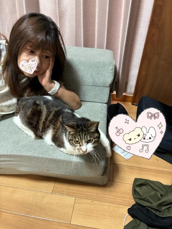 猫｜写メ日記｜純子｜鶯谷 人妻デリヘル 熟女デリヘル倶楽部