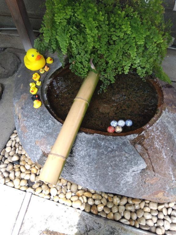 いい天気ですね～｜写メ日記｜木村｜鶯谷 人妻デリヘル 熟女デリヘル倶楽部