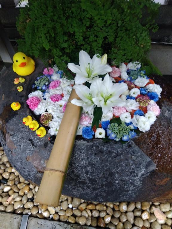 こんにちは｜写メ日記｜木村｜鶯谷 人妻デリヘル 熟女デリヘル倶楽部