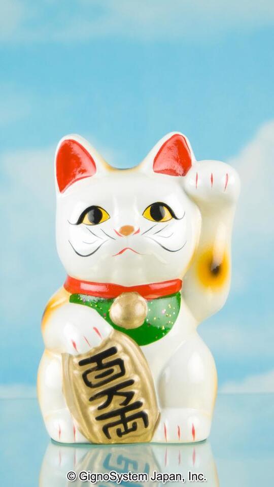 こんにちは｜写メ日記｜木村｜鶯谷 人妻デリヘル 熟女デリヘル倶楽部