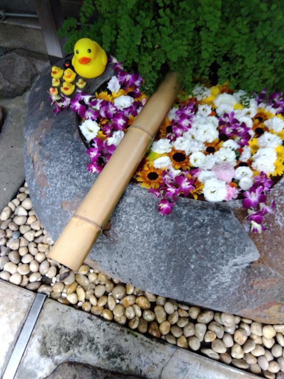 こんにちは｜写メ日記｜木村｜鶯谷 人妻デリヘル 熟女デリヘル倶楽部