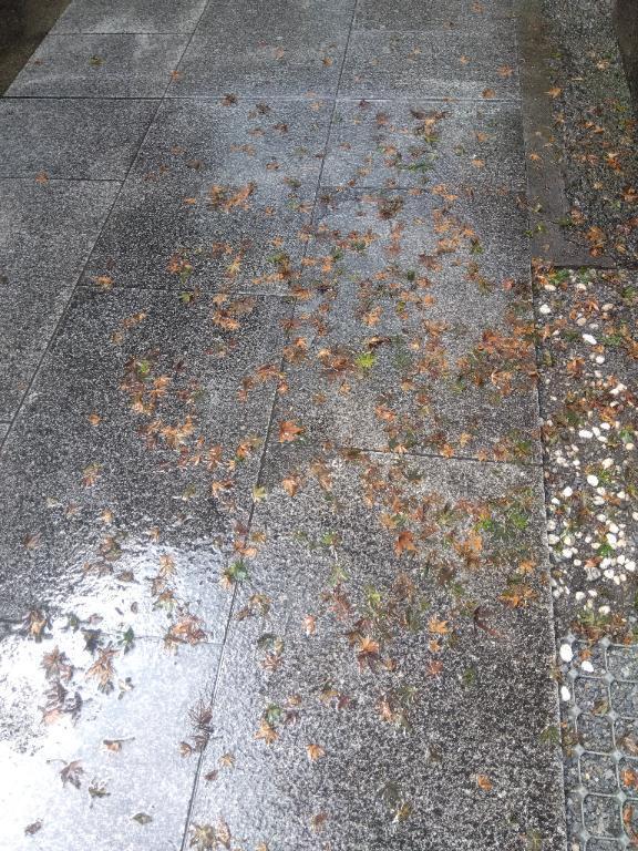 こんにちは~｜写メ日記｜木村｜鶯谷 人妻デリヘル 熟女デリヘル倶楽部