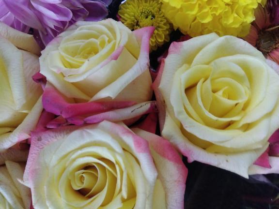 おはようございます。｜写メ日記｜木村｜鶯谷 人妻デリヘル 熟女デリヘル倶楽部