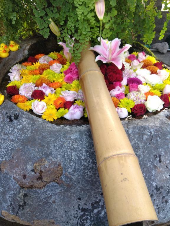 おはようございます。｜写メ日記｜木村｜鶯谷 人妻デリヘル 熟女デリヘル倶楽部