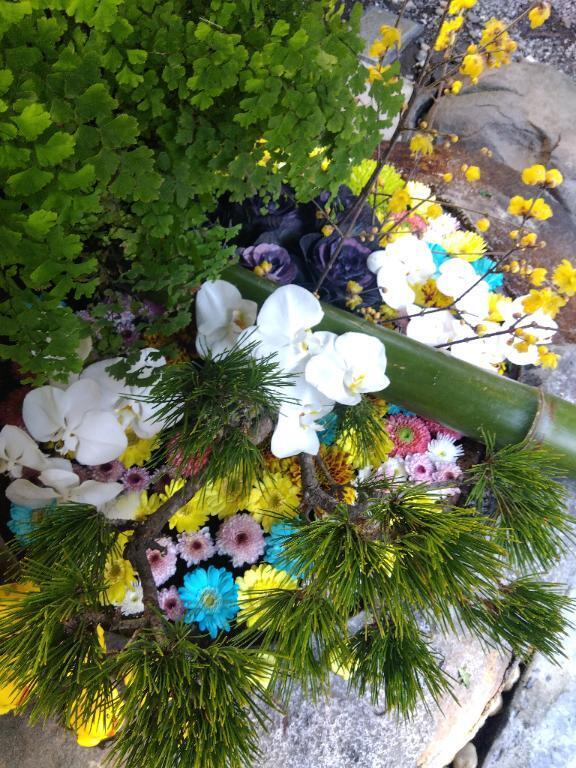 賀正｜写メ日記｜木村｜鶯谷 人妻デリヘル 熟女デリヘル倶楽部