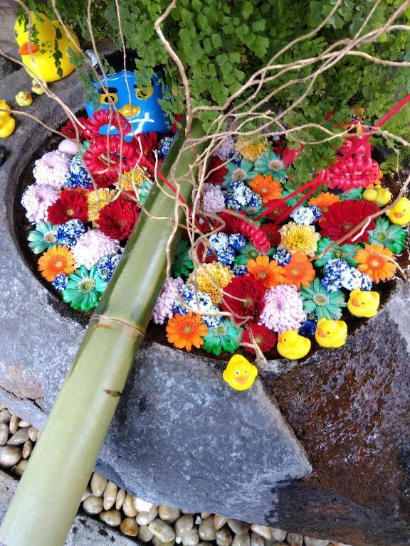 1月も終わり｜写メ日記｜木村｜鶯谷 人妻デリヘル 熟女デリヘル倶楽部