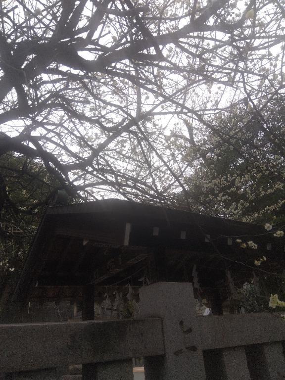 おはようございます｜写メ日記｜木村｜鶯谷 人妻デリヘル 熟女デリヘル倶楽部