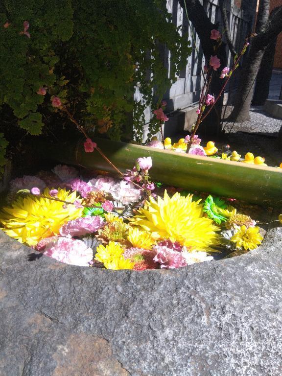 おはようございます｜写メ日記｜木村｜鶯谷 人妻デリヘル 熟女デリヘル倶楽部