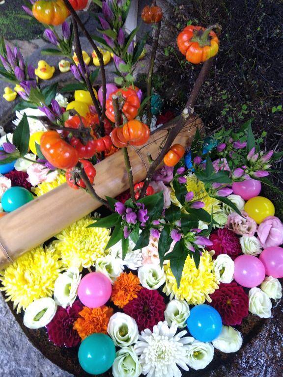 おはようございます｜写メ日記｜木村｜鶯谷 人妻デリヘル 熟女デリヘル倶楽部