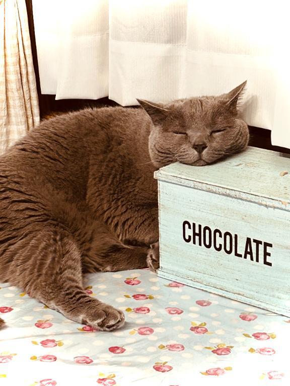 ありがとうね(^ ^)
