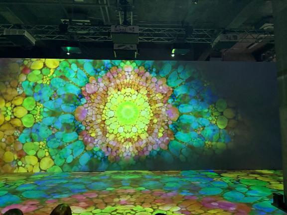 おはよー｜写メ日記｜せりな｜鶯谷 人妻デリヘル 熟女デリヘル倶楽部