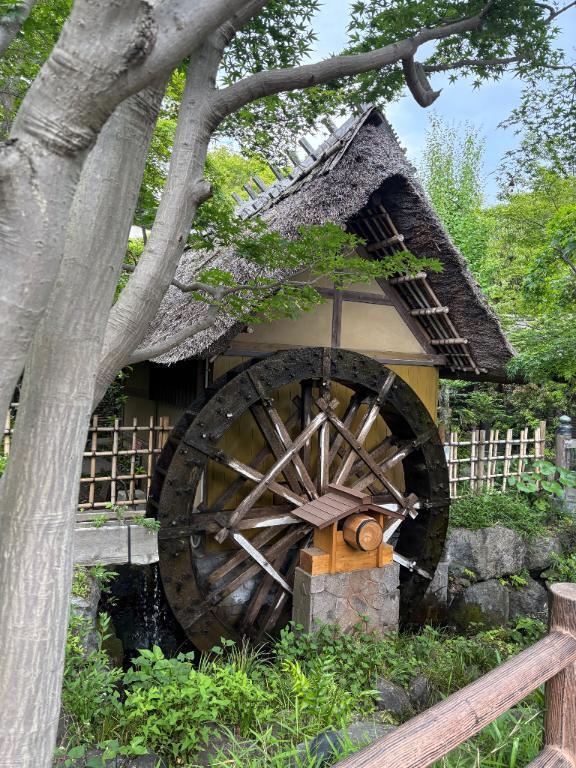 深大寺｜写メ日記｜せりな｜鶯谷 人妻デリヘル 熟女デリヘル倶楽部