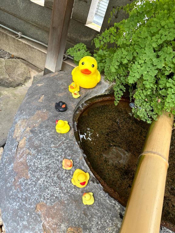 ありがとう｜写メ日記｜せりな｜鶯谷 人妻デリヘル 熟女デリヘル倶楽部