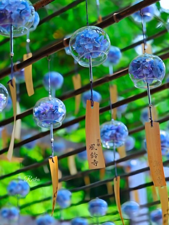 おはようございます｜写メ日記｜ひろみ｜鶯谷 人妻デリヘル 熟女デリヘル倶楽部