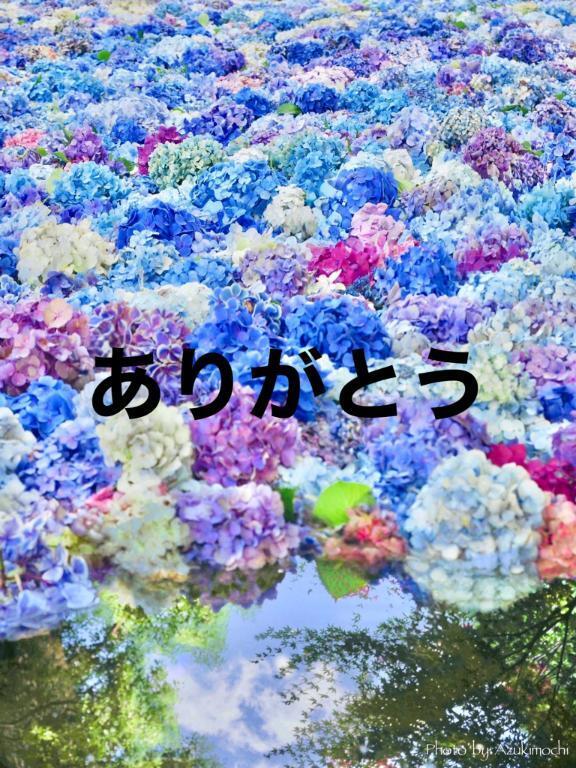 ありがとうございました｜写メ日記｜ひろみ｜鶯谷 人妻デリヘル 熟女デリヘル倶楽部