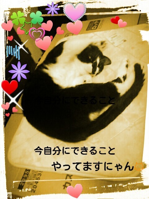 明日ね|写メ日記|すずな|鶯谷 人妻デリヘル 熟女デリヘル倶楽部