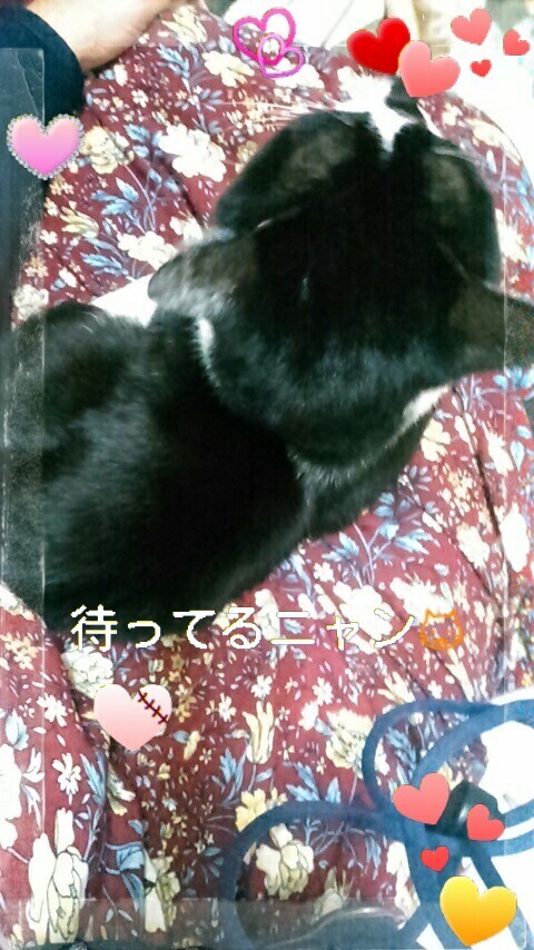 出勤します｜写メ日記｜すずな｜鶯谷 人妻デリヘル 熟女デリヘル倶楽部