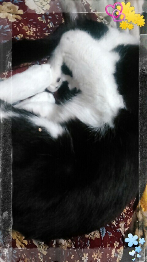 今日はお休み〰｜写メ日記｜すずな｜鶯谷 人妻デリヘル 熟女デリヘル倶楽部