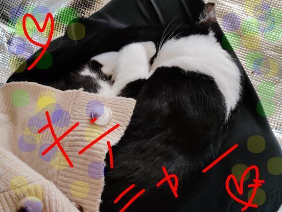 出勤しますよ〜｜写メ日記｜すずな｜鶯谷 人妻デリヘル 熟女デリヘル倶楽部