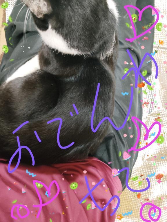 出勤します｜写メ日記｜すずな｜鶯谷 人妻デリヘル 熟女デリヘル倶楽部