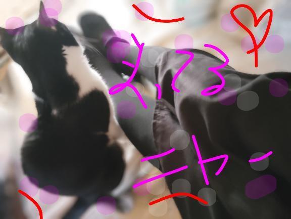 今日出勤ですよ～｜写メ日記｜すずな｜鶯谷 人妻デリヘル 熟女デリヘル倶楽部