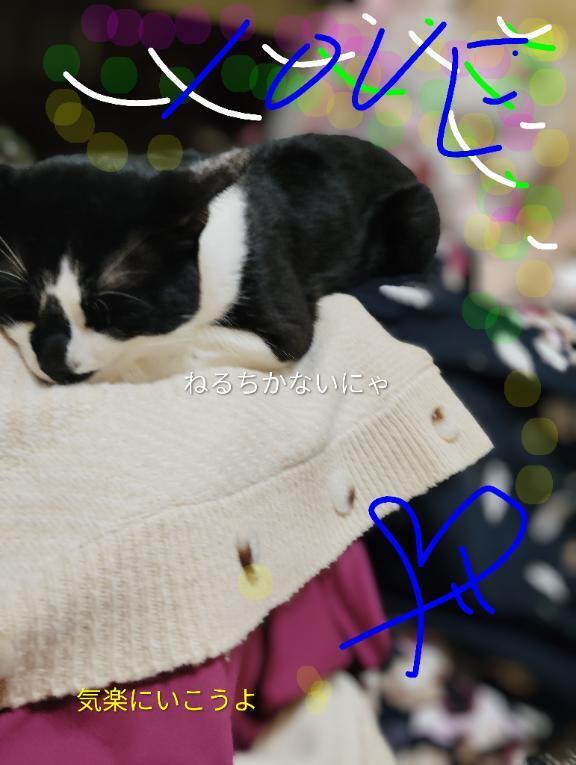 明日宜しく｜写メ日記｜すずな｜鶯谷 人妻デリヘル 熟女デリヘル倶楽部