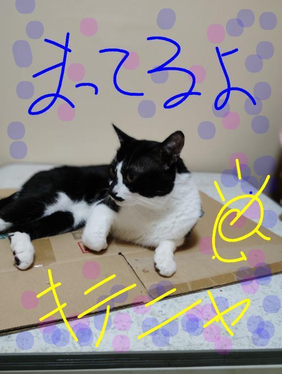 今日出勤です