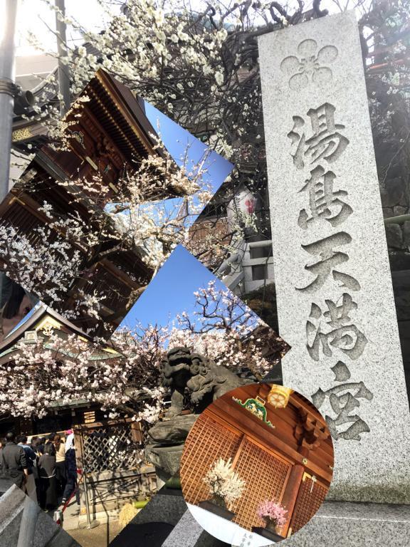 梅祭り｜写メ日記｜れいか｜鶯谷 人妻デリヘル 熟女デリヘル倶楽部