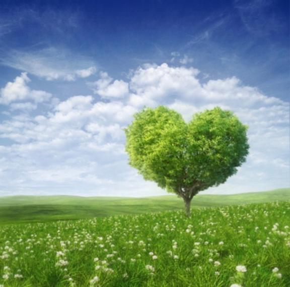 「東京都平和の日」｜写メ日記｜あん｜鶯谷 人妻デリヘル 熟女デリヘル倶楽部