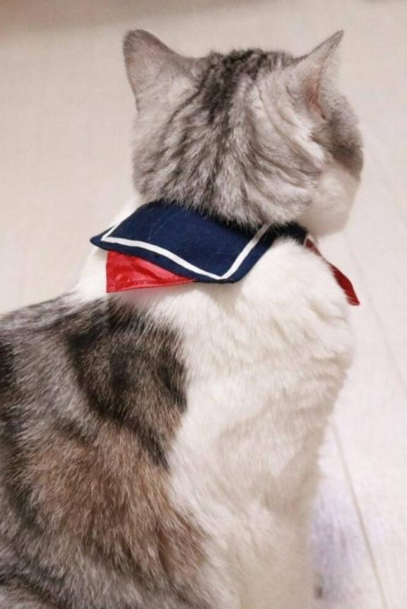 おはよーございます