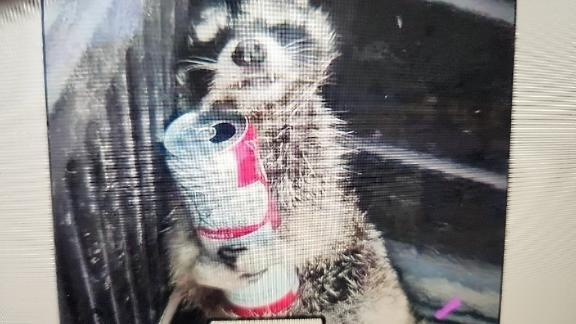 今日は(笑)｜写メ日記｜高見｜鶯谷 人妻デリヘル 熟女デリヘル倶楽部