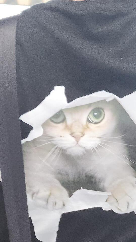 先ほど( *´艸｀)