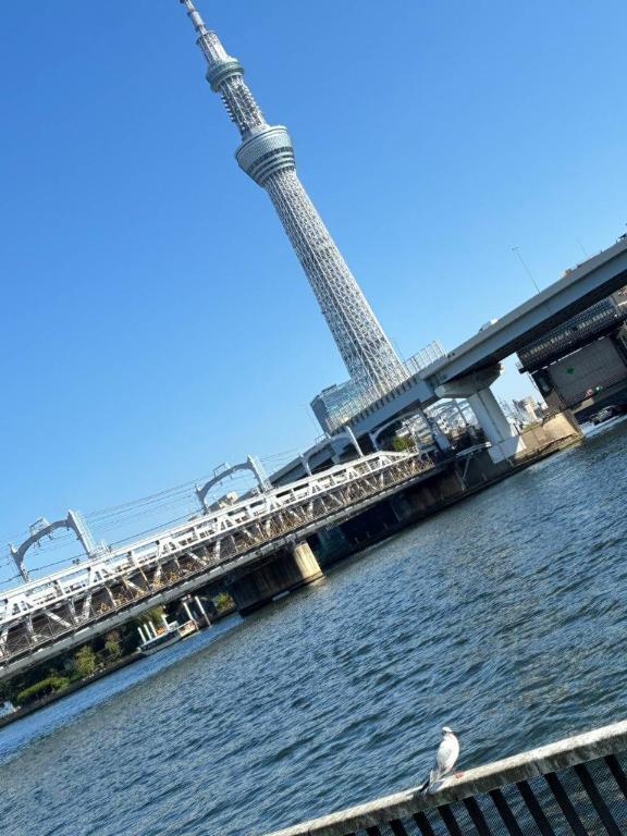 おはようございます(((^^;)