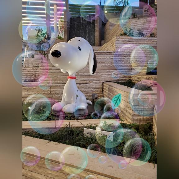 中々出勤できずにごめんなさい。。｜写メ日記｜みなみ｜鶯谷 人妻デリヘル 熟女デリヘル倶楽部