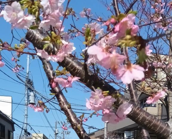 雨｜写メ日記｜りえ｜鶯谷 人妻デリヘル 熟女デリヘル倶楽部