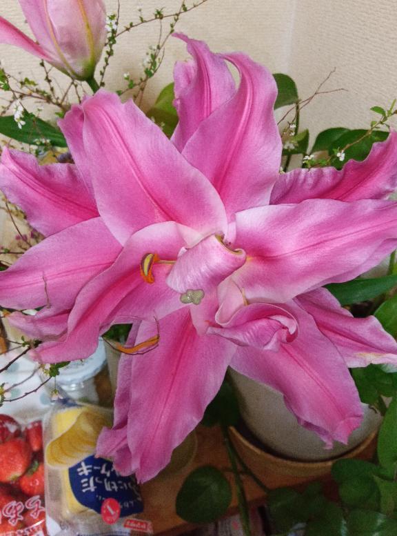 りえです｜写メ日記｜りえ｜鶯谷 人妻デリヘル 熟女デリヘル倶楽部