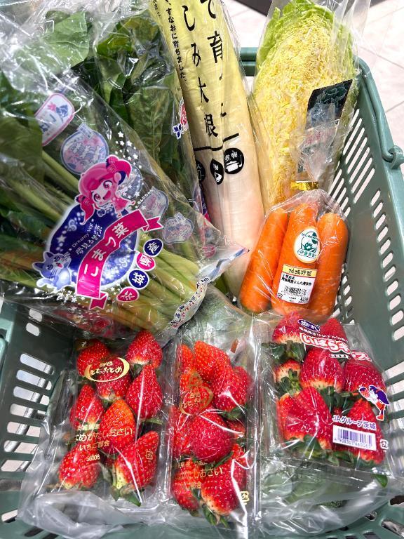 小松菜ってカルシウム！なのだ！天才一家だぱかポンポン｜写メ日記｜あけみ｜鶯谷 人妻デリヘル 熟女デリヘル倶楽部