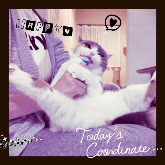 V字開脚｜写メ日記｜あおい｜鶯谷 人妻デリヘル 熟女デリヘル倶楽部