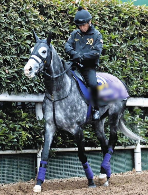 馬並みの注目｜写メ日記｜あおい｜鶯谷 人妻デリヘル 熟女デリヘル倶楽部
