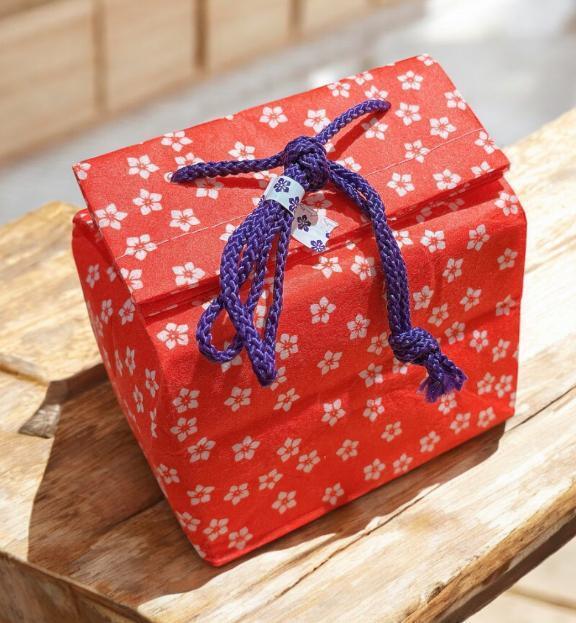 モチモチ｜写メ日記｜あおい｜鶯谷 人妻デリヘル 熟女デリヘル倶楽部