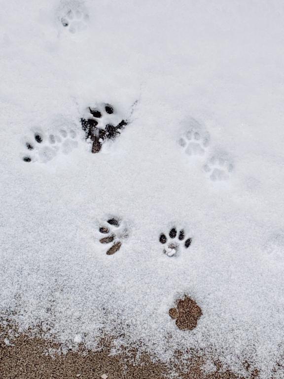 好きです｜写メ日記｜あおい｜鶯谷 人妻デリヘル 熟女デリヘル倶楽部