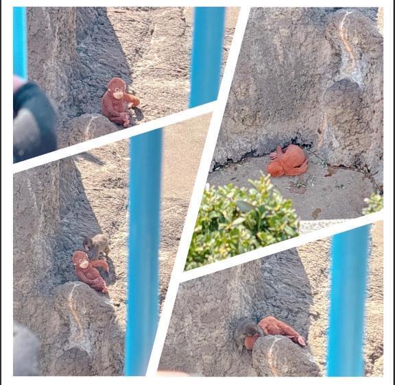 離さないでー！｜写メ日記｜あおい｜鶯谷 人妻デリヘル 熟女デリヘル倶楽部