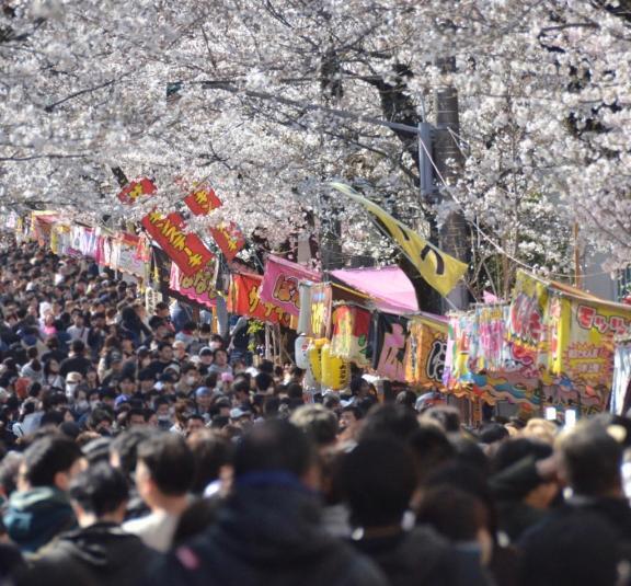 イった？？｜写メ日記｜あおい｜鶯谷 人妻デリヘル 熟女デリヘル倶楽部