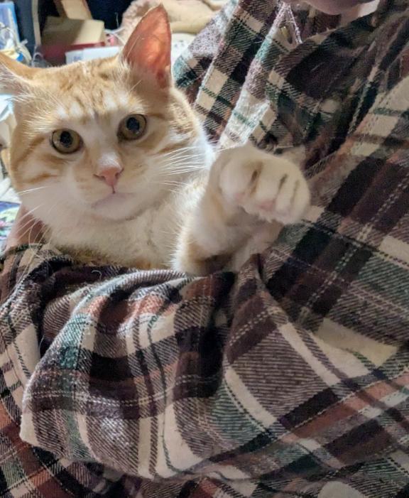 ご無沙汰しております｜写メ日記｜ひかる｜鶯谷 人妻デリヘル 熟女デリヘル倶楽部