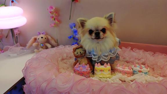 3月24日は休みよ｜写メ日記｜なこ｜鶯谷 人妻デリヘル 熟女デリヘル倶楽部