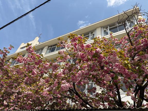 おはようございます()｜写メ日記｜りり｜鶯谷 人妻デリヘル 熟女デリヘル倶楽部