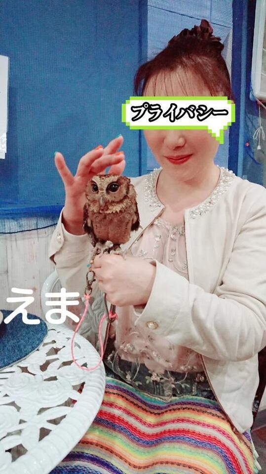 入店初日｜写メ日記｜えま｜鶯谷 人妻デリヘル 熟女デリヘル倶楽部