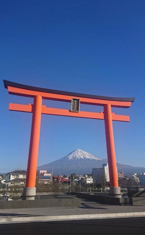 こんにちは｜写メ日記｜えま｜鶯谷 人妻デリヘル 熟女デリヘル倶楽部